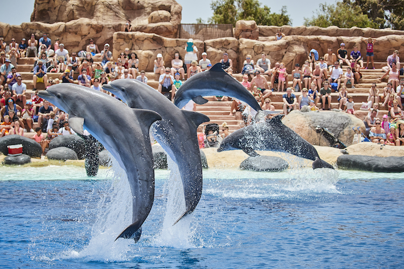 Amusez-vous avec les animaux au parc Rancho Texas Lanzarote